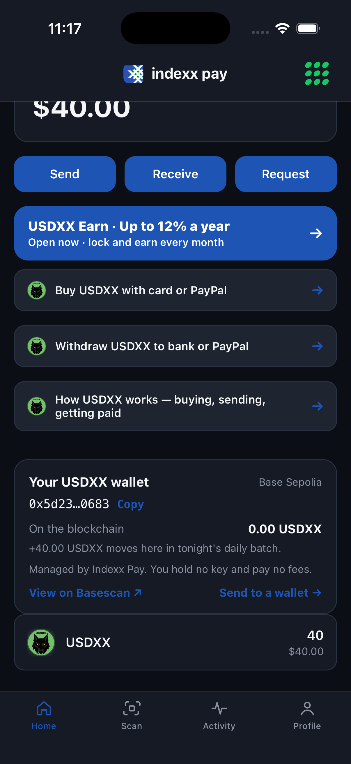 The Indexx Pay app home screen on iPhone